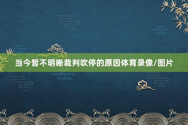 当今暂不明晰裁判吹停的原因体育录像/图片