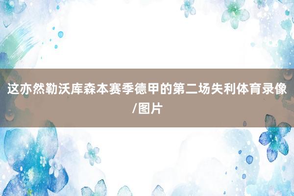 这亦然勒沃库森本赛季德甲的第二场失利体育录像/图片