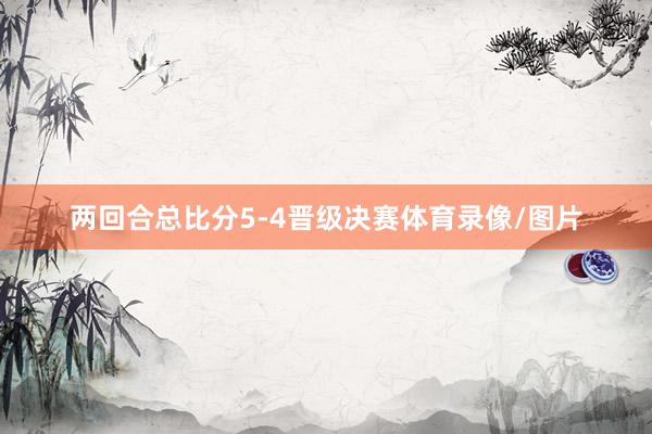 两回合总比分5-4晋级决赛体育录像/图片