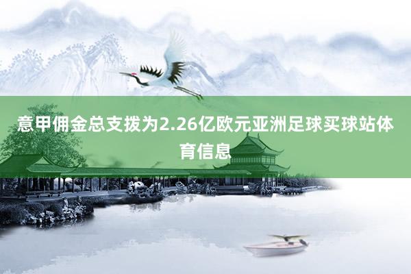 意甲佣金总支拨为2.26亿欧元亚洲足球买球站体育信息