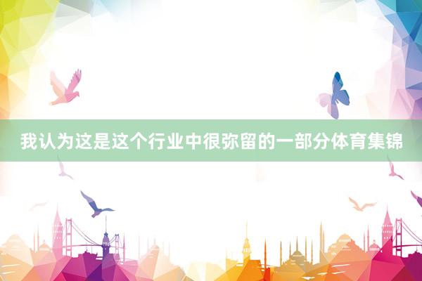我认为这是这个行业中很弥留的一部分体育集锦