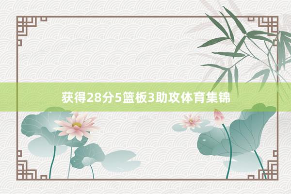 获得28分5篮板3助攻体育集锦