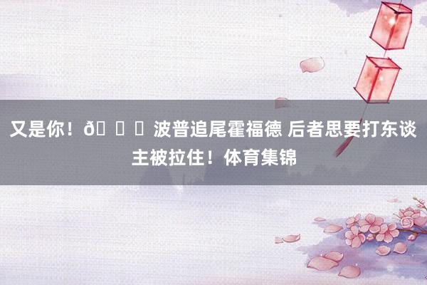 又是你！🚗波普追尾霍福德 后者思要打东谈主被拉住！体育集锦