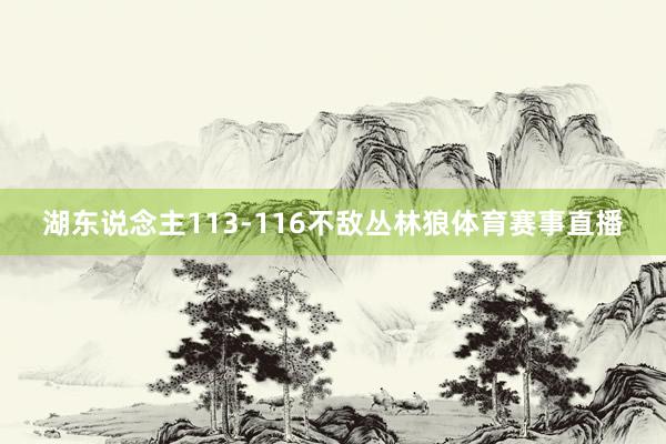 湖东说念主113-116不敌丛林狼体育赛事直播