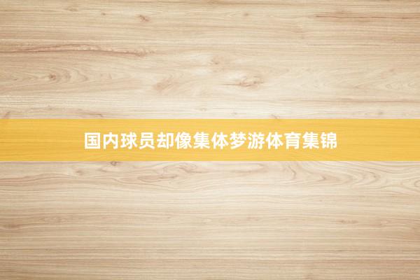 国内球员却像集体梦游体育集锦