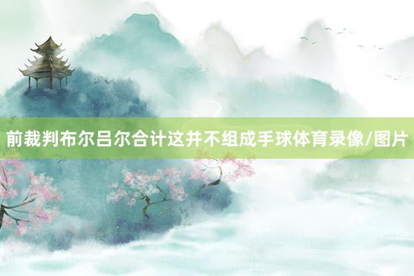 前裁判布尔吕尔合计这并不组成手球体育录像/图片
