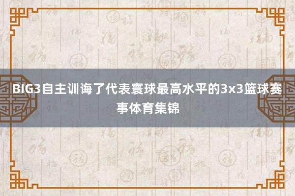 BIG3自主训诲了代表寰球最高水平的3x3篮球赛事体育集锦