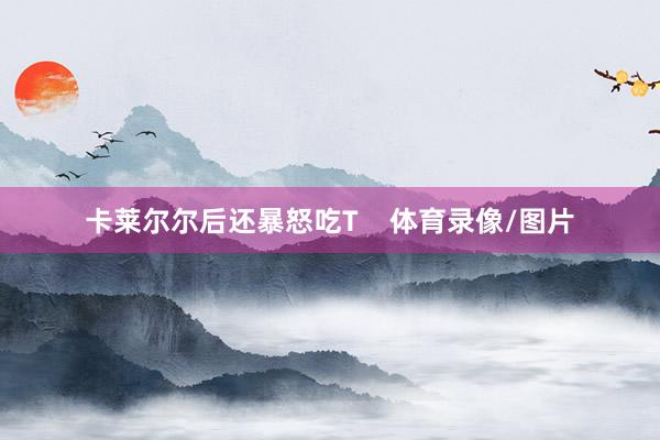 卡莱尔尔后还暴怒吃T    体育录像/图片