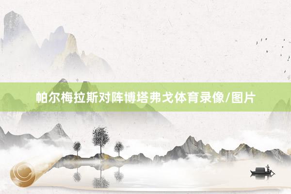 帕尔梅拉斯对阵博塔弗戈体育录像/图片