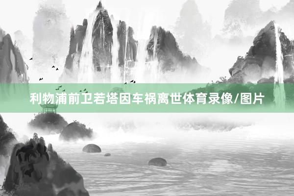 利物浦前卫若塔因车祸离世体育录像/图片