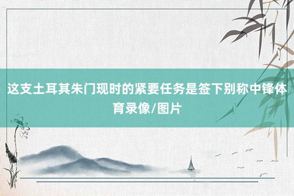 这支土耳其朱门现时的紧要任务是签下别称中锋体育录像/图片
