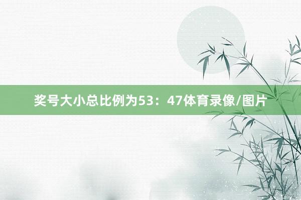 奖号大小总比例为53：47体育录像/图片