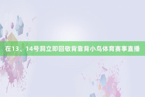 在13、14号洞立即回敬背靠背小鸟体育赛事直播