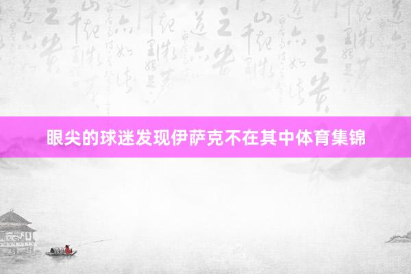 眼尖的球迷发现伊萨克不在其中体育集锦