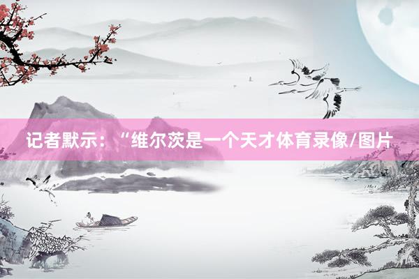 记者默示：“维尔茨是一个天才体育录像/图片