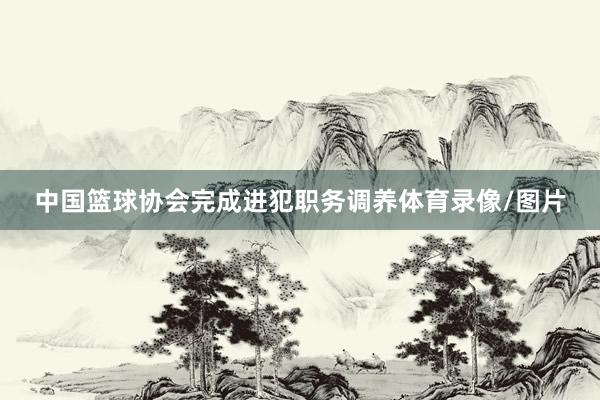 中国篮球协会完成进犯职务调养体育录像/图片