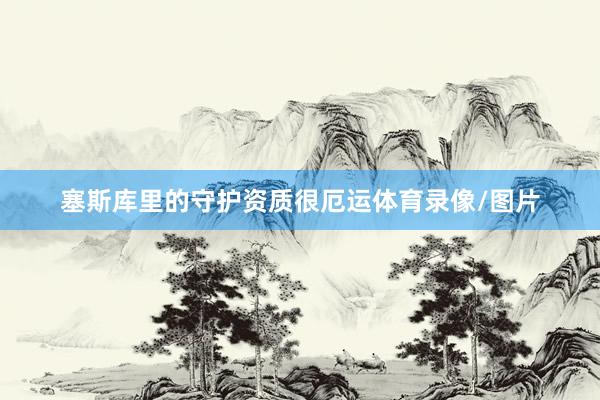 塞斯库里的守护资质很厄运体育录像/图片