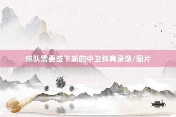 球队需要签下新的中卫体育录像/图片
