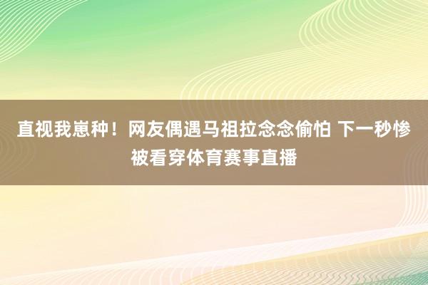 直视我崽种！网友偶遇马祖拉念念偷怕 下一秒惨被看穿体育赛事直播