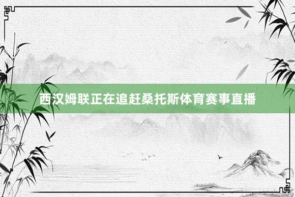 西汉姆联正在追赶桑托斯体育赛事直播