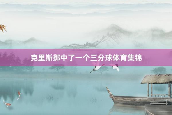 克里斯掷中了一个三分球体育集锦