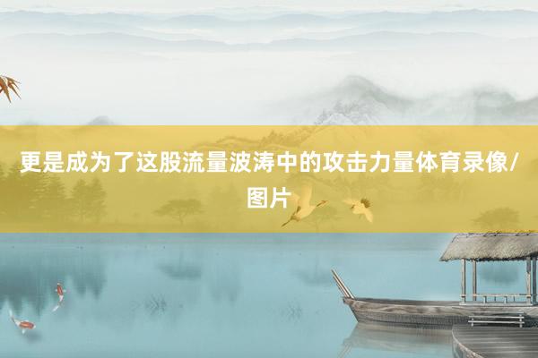 更是成为了这股流量波涛中的攻击力量体育录像/图片
