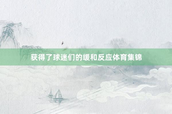 获得了球迷们的缓和反应体育集锦