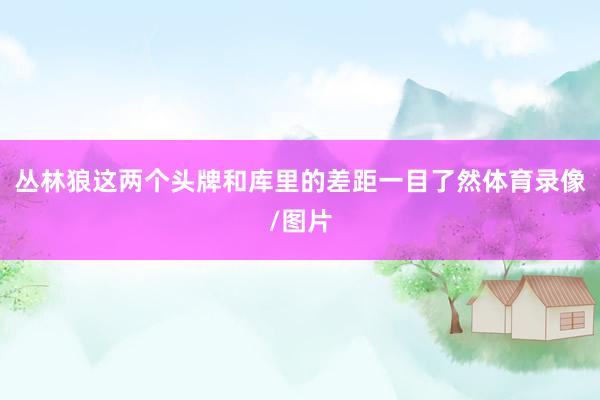 丛林狼这两个头牌和库里的差距一目了然体育录像/图片