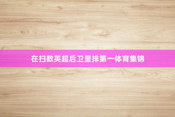 在扫数英超后卫里排第一体育集锦