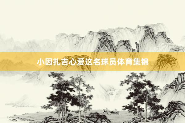 小因扎吉心爱这名球员体育集锦