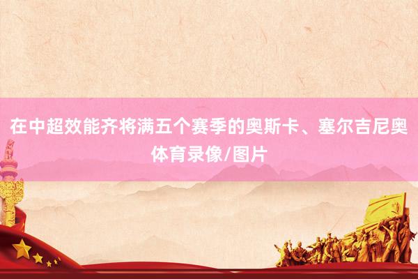 在中超效能齐将满五个赛季的奥斯卡、塞尔吉尼奥体育录像/图片