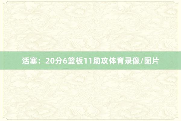 活塞：20分6篮板11助攻体育录像/图片