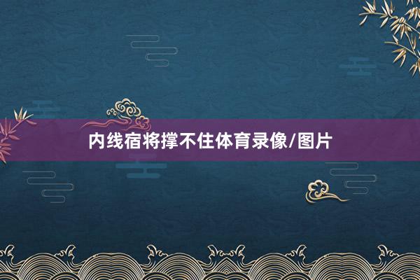 内线宿将撑不住体育录像/图片