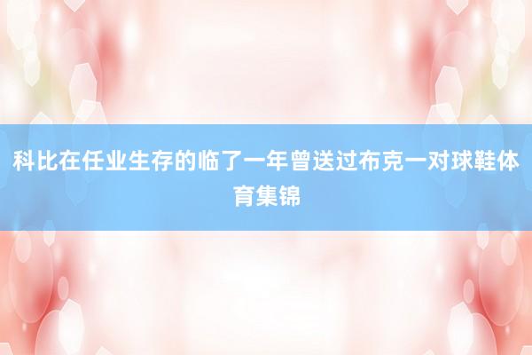 科比在任业生存的临了一年曾送过布克一对球鞋体育集锦