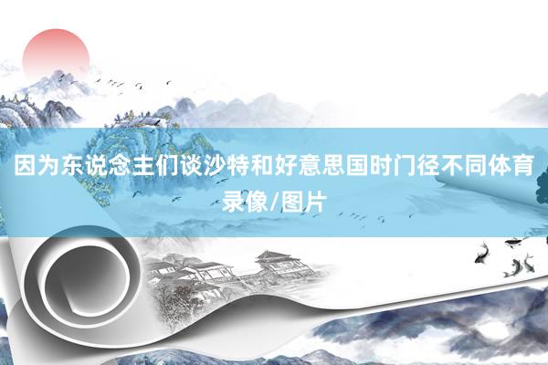 因为东说念主们谈沙特和好意思国时门径不同体育录像/图片