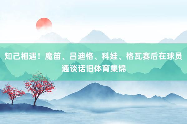 知己相遇！魔笛、吕迪格、科娃、格瓦赛后在球员通谈话旧体育集锦