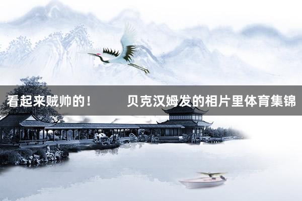 看起来贼帅的! 贝克汉姆发的相片里体育集锦