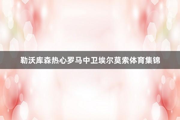 勒沃库森热心罗马中卫埃尔莫索体育集锦