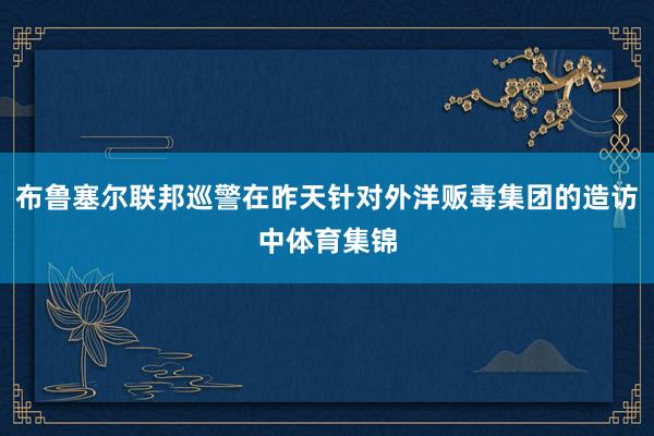 布鲁塞尔联邦巡警在昨天针对外洋贩毒集团的造访中体育集锦