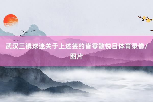 武汉三镇球迷关于上述签约皆零散悦目体育录像/图片