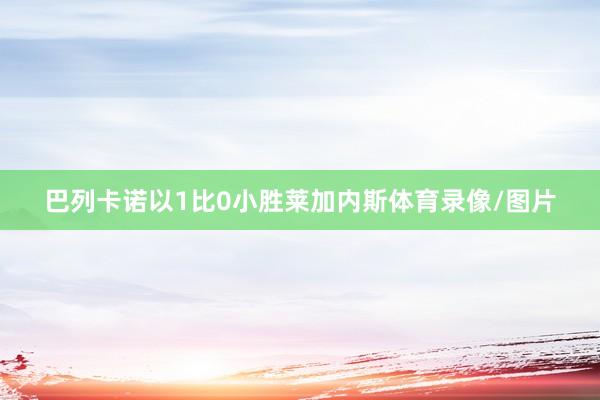 巴列卡诺以1比0小胜莱加内斯体育录像/图片