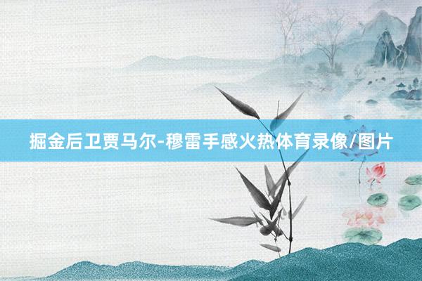 掘金后卫贾马尔-穆雷手感火热体育录像/图片