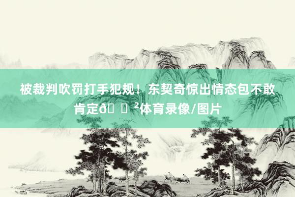 被裁判吹罚打手犯规！东契奇惊出情态包不敢肯定😲体育录像/图片