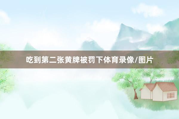 吃到第二张黄牌被罚下体育录像/图片