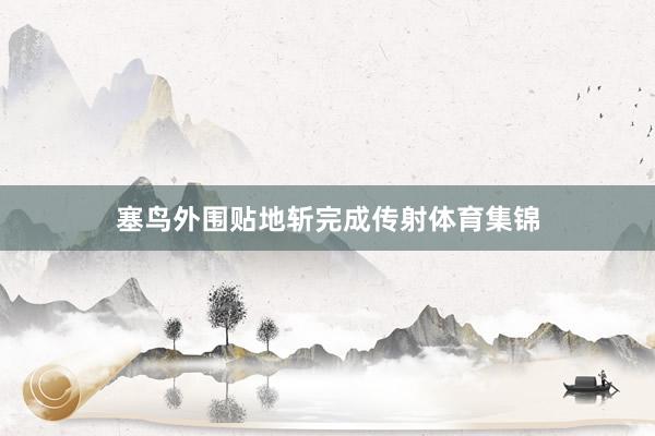 塞鸟外围贴地斩完成传射体育集锦