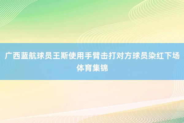广西蓝航球员王斯使用手臂击打对方球员染红下场体育集锦