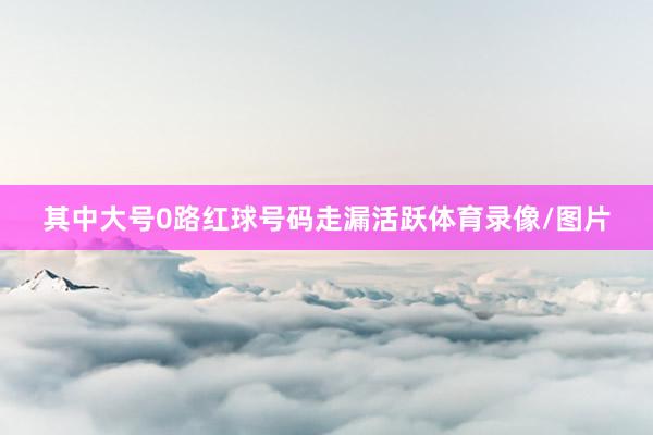 其中大号0路红球号码走漏活跃体育录像/图片