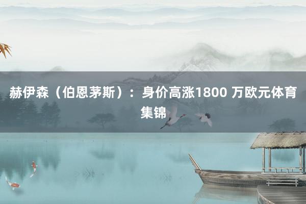 赫伊森(伯恩茅斯):身价高涨1800 万欧元体育集锦