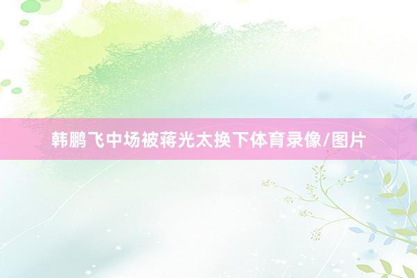 韩鹏飞中场被蒋光太换下体育录像/图片