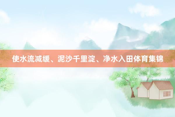 使水流减缓、泥沙千里淀、净水入田体育集锦